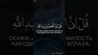 Сура 3 Аят 73-74. Чтец: Mustafa Shareef