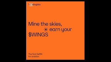 Wingbits,—bringing the future of air travel to your fingertips.#Wingbit #DePIN #Solana #Blockchain