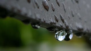 LE MEILLEUR BRUIT DE PLUIE Pour Faire Le Vide Dans Son Esprit Et Dormir Profondément  100% RELAX