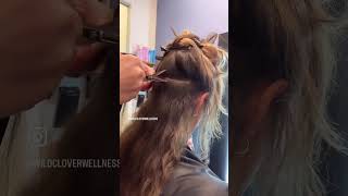 Cara Mengumpulkan Sampel Rambut untuk HTMA (Panduan Unsur Jejak)