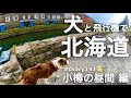 犬と北海道の旅〜小樽の昼間 編〜