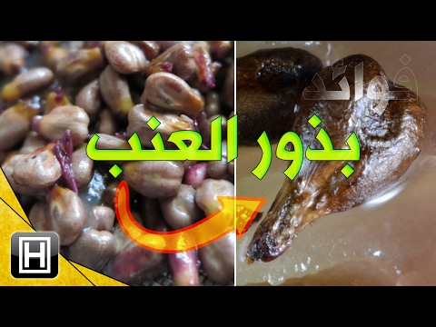 فوائد بذور العنب وأسراره الصحية العديدة