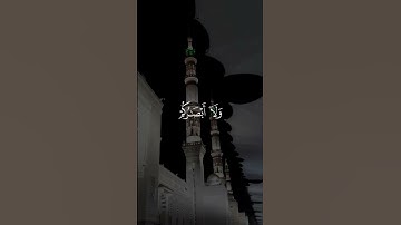 تلاوة عطرة من سوره فصلت