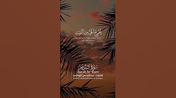 فسبحان الله حين تمسون وحين تصبحون II ما تيسر من سورة الروم بصوت القارئ عبدالرحمن الزواوي