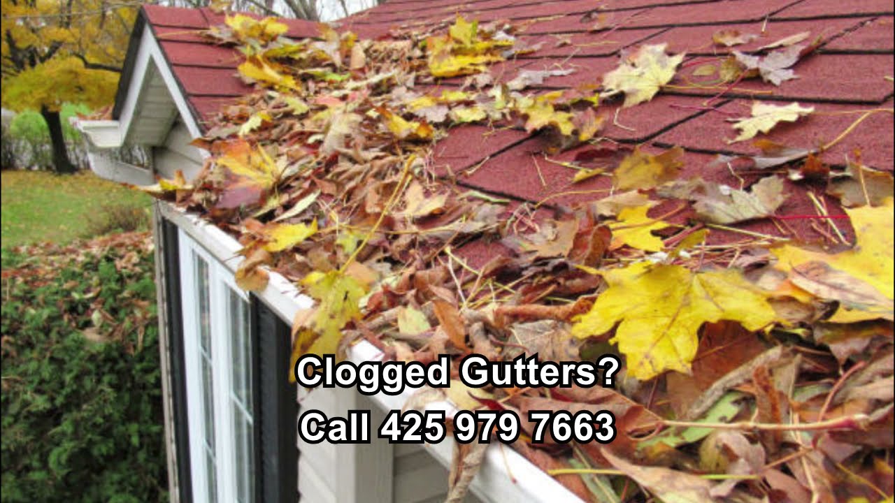 Lynnwood Top Expert Roofers | Affordable Gutter Cleaning and Repair Lynnwood | 425 979 7663