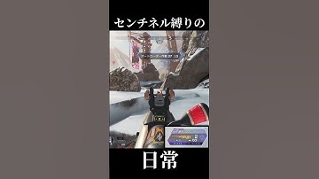 【APEX】センチネルはブリンクを許さない【まめんぬ】 #apexlegends #apex