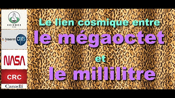 Une introduction facile aux unités de stockage informatique et au débit de données.