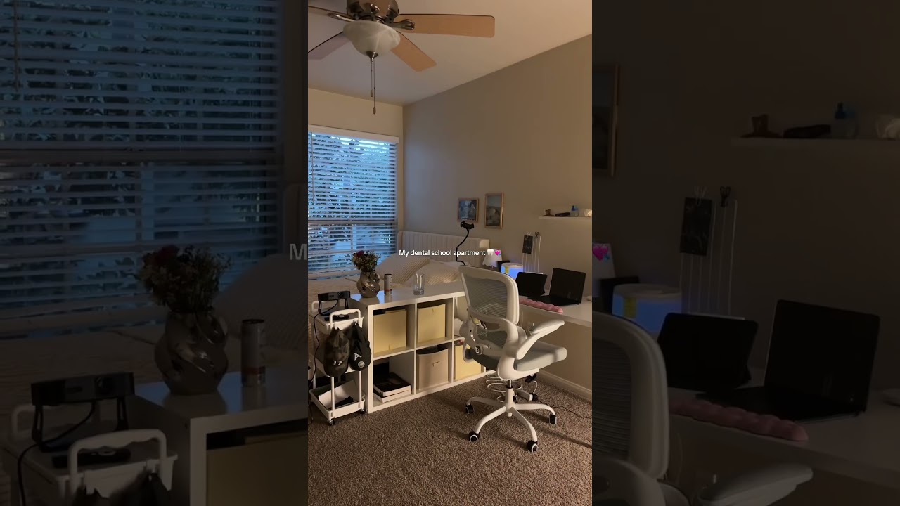Dental school apartment 🦷 