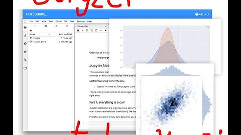 Use Python in Jupyter notebook on line with notebooks ai