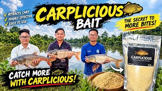 The Bait Taking Nagaland by Storm!  CARPLICIOUS CARP BAIT 