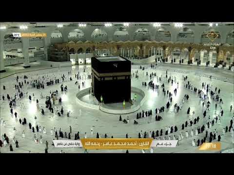 سورة عبس بصوت القارئ أحمد محمد عامر 