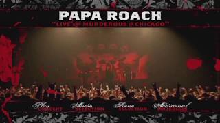 Papa Roach - Live &amp; Murderous In Chicago DVD (Menu Preview) + Exclusive Photo Gallery [1080p HD]