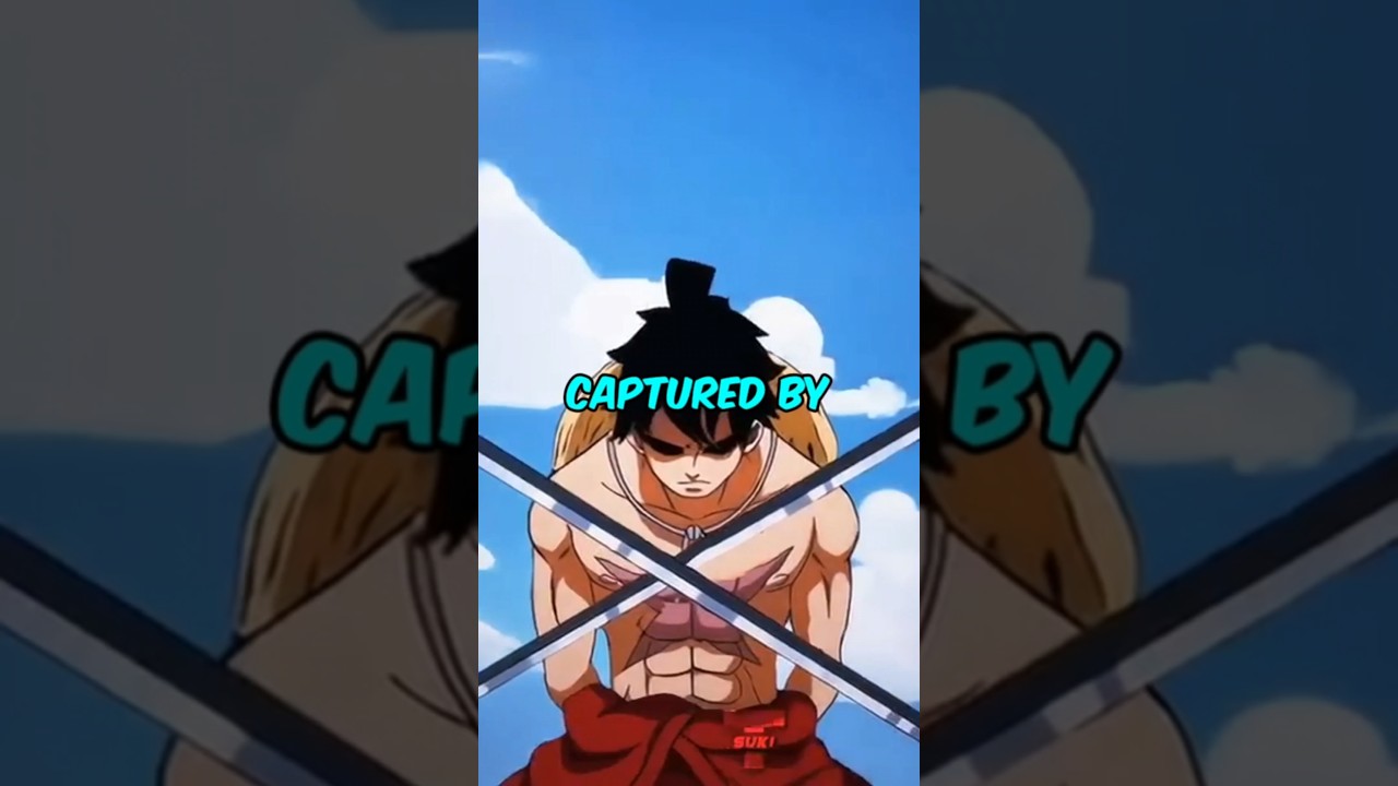 What if Luffy was captured by the Marines?