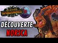 Dcouverte de la norsca  les hommes du nord ne sont pas contents 