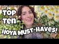 HOYA MUST-HAVES!! 🌸 Top 10 Favorite Hoya in My Collection Right Now 🌿 HOYA MUST-HAVES!! 🌸 Top 10 Favorite Hoya in My Collection Right Now 🌿