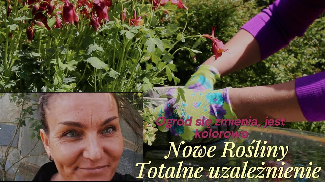 Ogród się zmienia, nowe rośliny do ogrodu, spontaniczne zmiany na skarpie