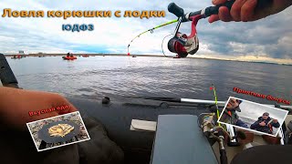 видео: ОТЛИЧНЫЙ КЛЁВ КРУПНОЙ КОРЮШКИ весной с лодки на Южной Дамбе Финского залива, корюшка на диске(садж). картинка: ОТЛИЧНЫЙ КЛЁВ КРУПНОЙ КОРЮШКИ весной с лодки на Южной Дамбе Финского залива, корюшка на диске(садж).