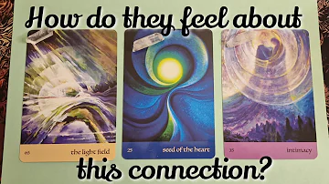 💕 How do they feel about this connection? 💕 pick a card tarot timeless 💖