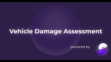 Vehicle Damage Assessment