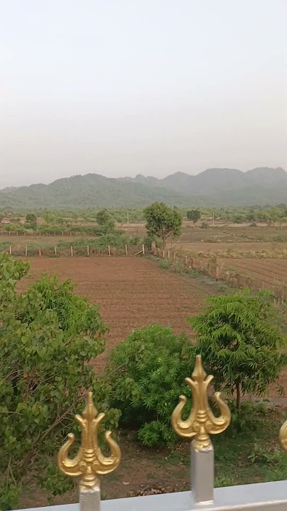 Albela Mausam 🤩 #bollywood #movie #love #latamangeshkar #kishoresentimentalsongs #tohfa