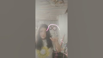 Tao có Cây súng chỉa