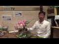 Vol42: シンビジュームを使って花を活ける。【L'arbre TV】