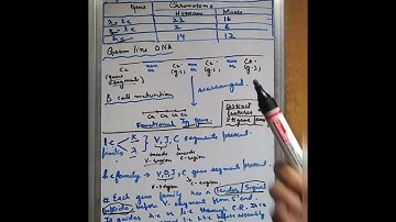 IMMUNOLOGY Multigene organisation of Ig genes and different gene families