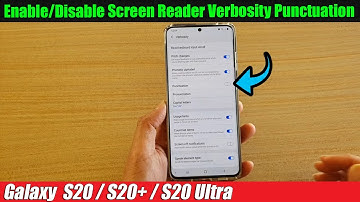 Galaxy S20/S20+: How to Enable/Disable Screen Reader Verbosity Punctuation
