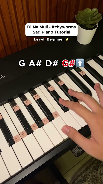 Di Na Muli sad piano tutorial 🎹