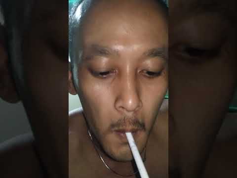 Anak paddoja
