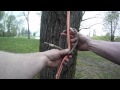 How to tie the Distel hitch | Arborist knot tying