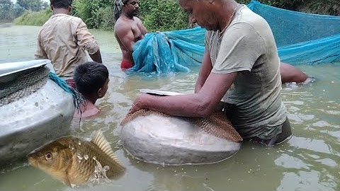 2023 Unbelievable Cast Net Fishing | Fisherman vs River Catch Netting fish