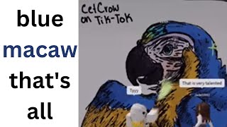 blue macaw by cetcrow 7 views 1 year ago 1 minute, 51 seconds