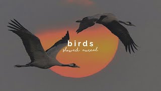 imagine dragons - birds (slowed + reverb)