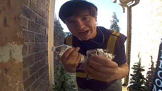 UPS Driver Very Excited to See Snacks Left by Homeowner