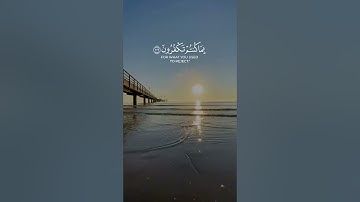 (" يوم تبيض وجوه وتسود وجوه ") || سورة آل عمران | الشيخ يوسف الصقير