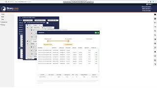 BINARY.COM super bot