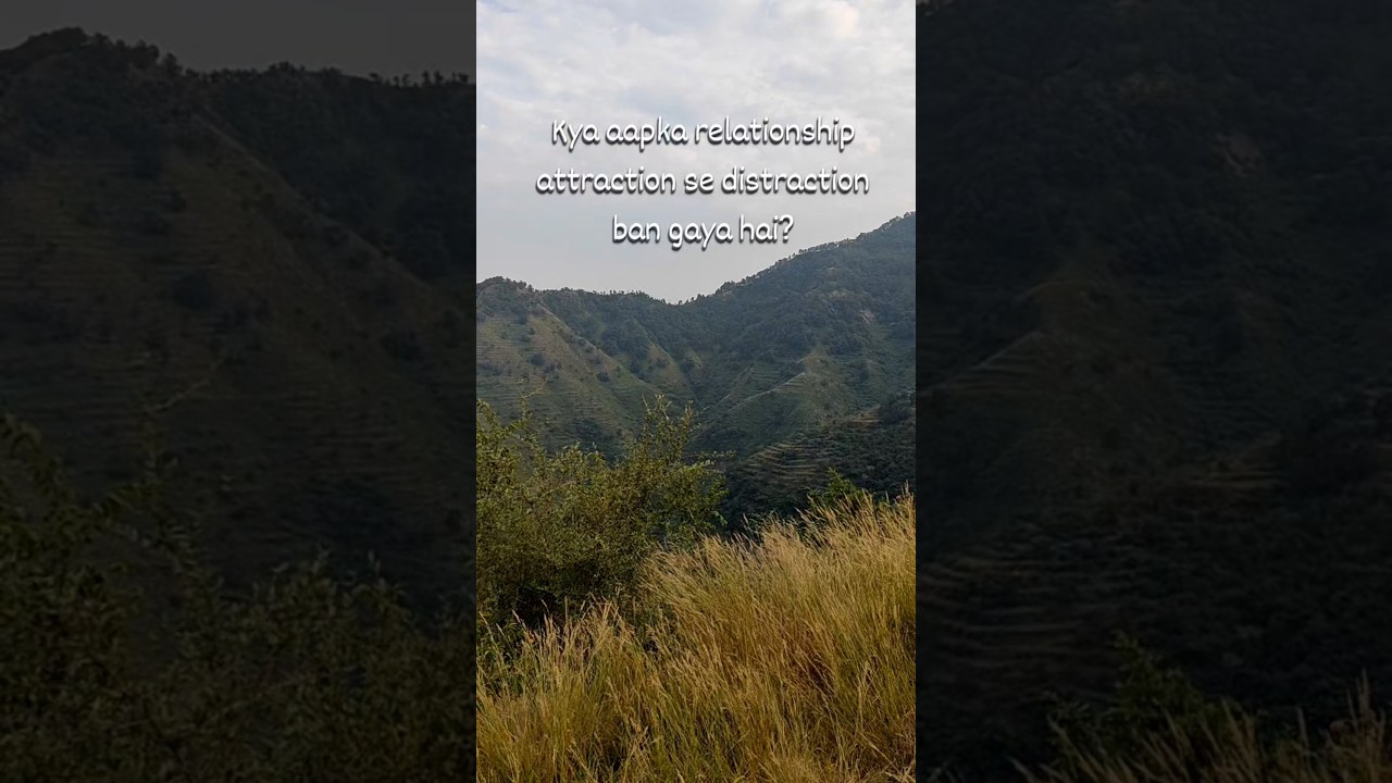 Relationship turned into “Attraction to Distraction?" | Pick a card reading 