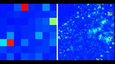 "See Neurons Speak" on a high density microelectrode array
