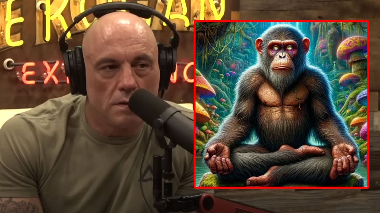 Joe Rogan shares about The Stoned Ape Theory Revisited - Joe Rogan 2025