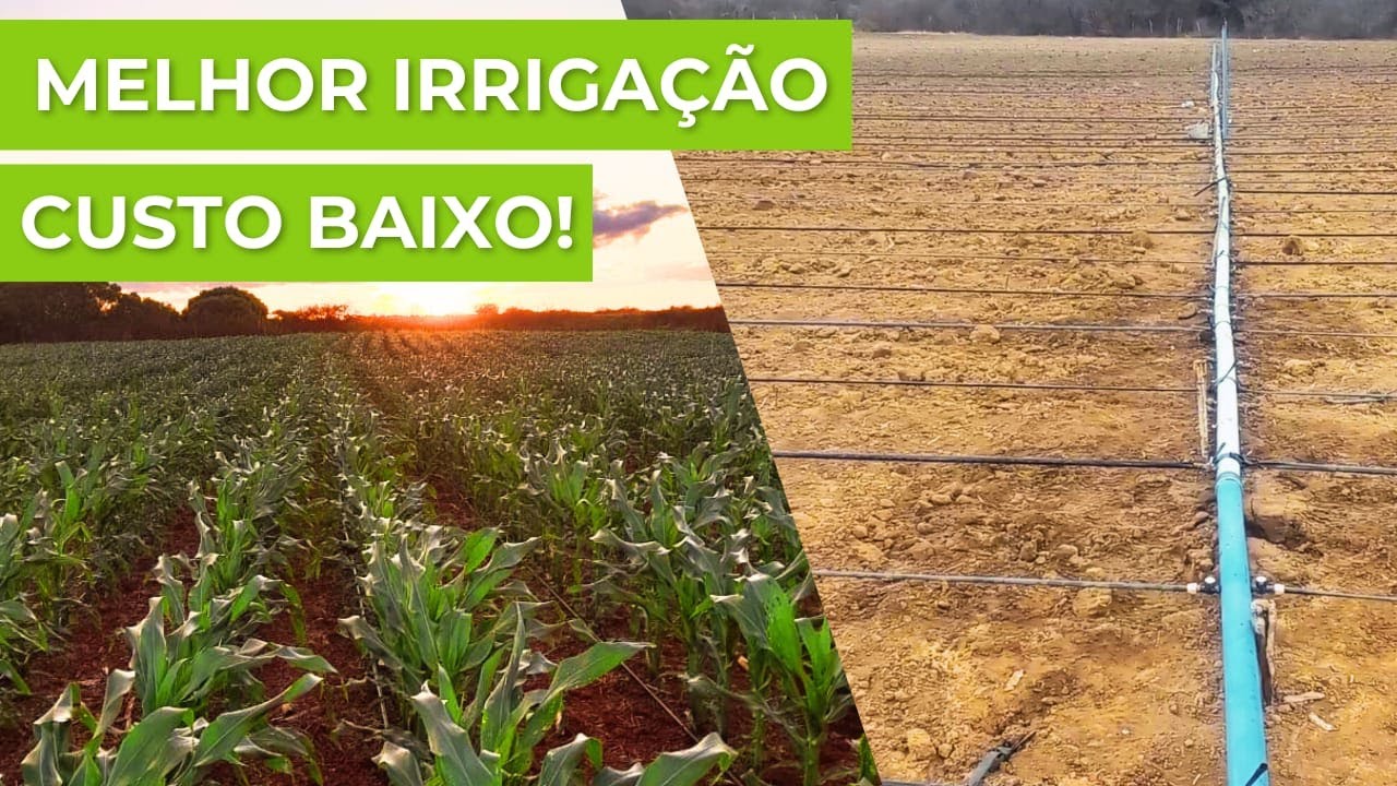 Como fazer IRRIGAÇÃO POR GOTEJAMENTO de Baixo Custo na pequena propriedade