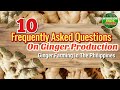 10 Frequently Asked Questions on Ginger Production | Ginger Farming In the Philippines