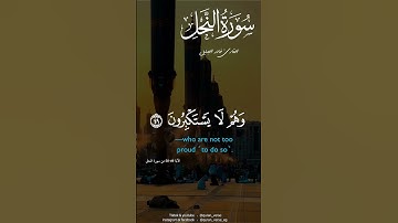 وَلِلَّهِ يَسْجُدُ مَا فِي السَّمَاوَاتِ وَمَا فِي الْأَرْضِ | خالد الجليل |سورة النحل | حالات دينية