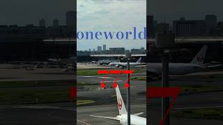 【oneworld】JALの777　#jal #b777 #oneworld #shorts