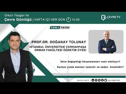 Video: Dünyanın karbon yutağı olarak bilinen bölge hangisidir?