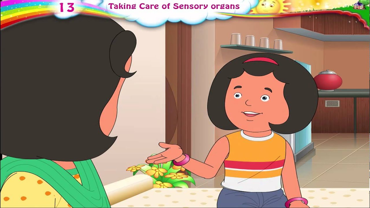 Learn Grade 3 Science Taking Care Of Sensory Organs Youtube