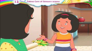 Learn Grade 3 - Science - Taking Care of Sensory Organs