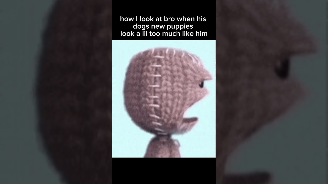 i just lost my dawg. | 