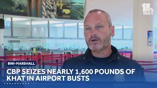 CBP seizes nearly 1,600 pounds of khat in airport busts