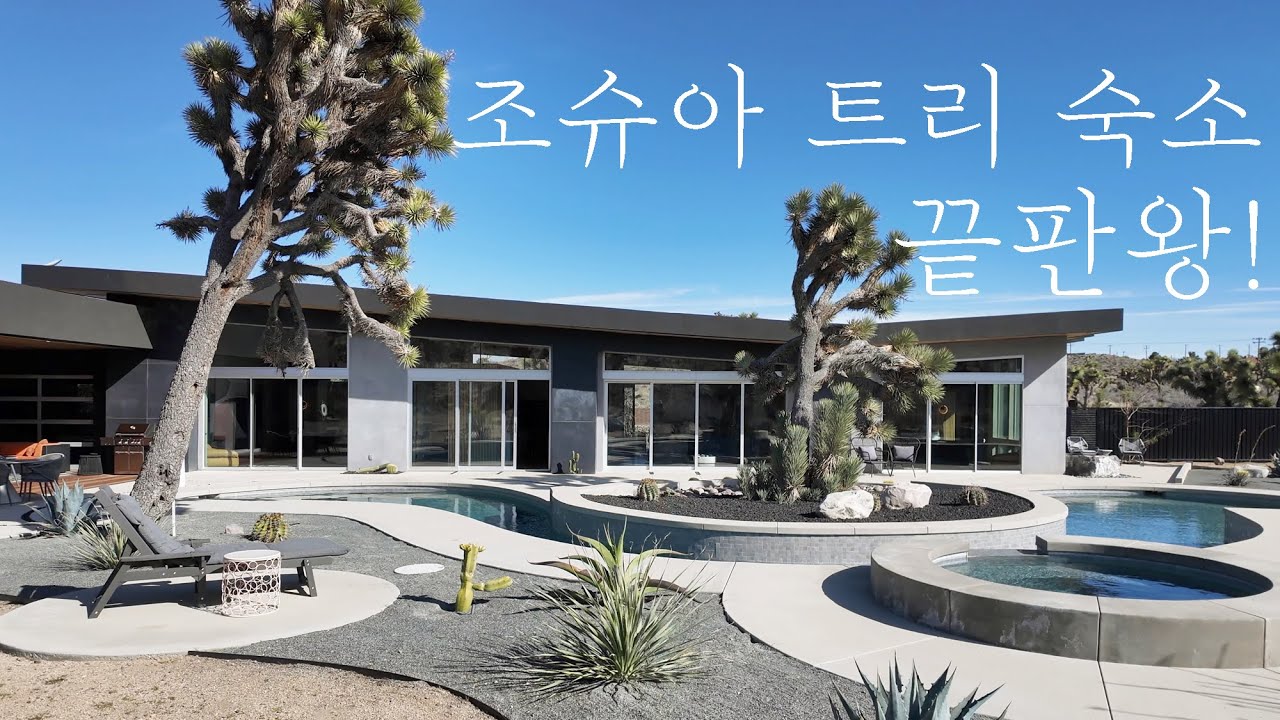 초호화 에어비앤비_조슈아 트리 국립공원, 팜 스프링스 여행_명포토Ep.38